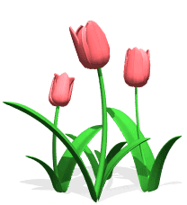 7c33425c04cf37e48864506b9be751b5_1787209740_1159.gif